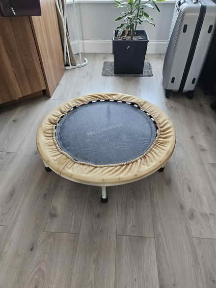 Photo of free Mini trampoline (Perivale) #1