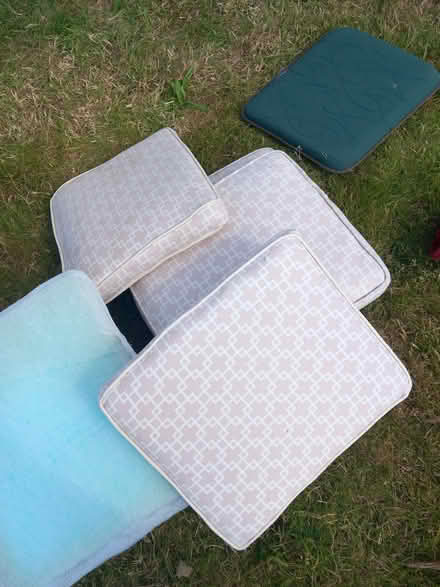 Photo of free box cushions (Farden SY8) #1