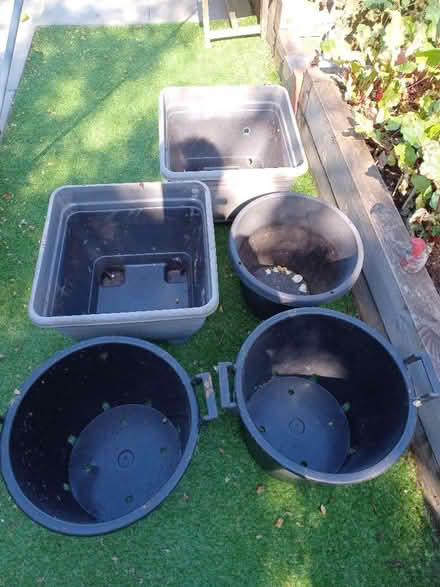 Photo of free Garden Pots Etc (Hollingbury BN1) #2
