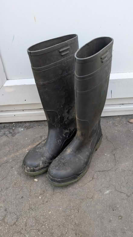 Photo of free Welly boots size 9 (TR1) #1