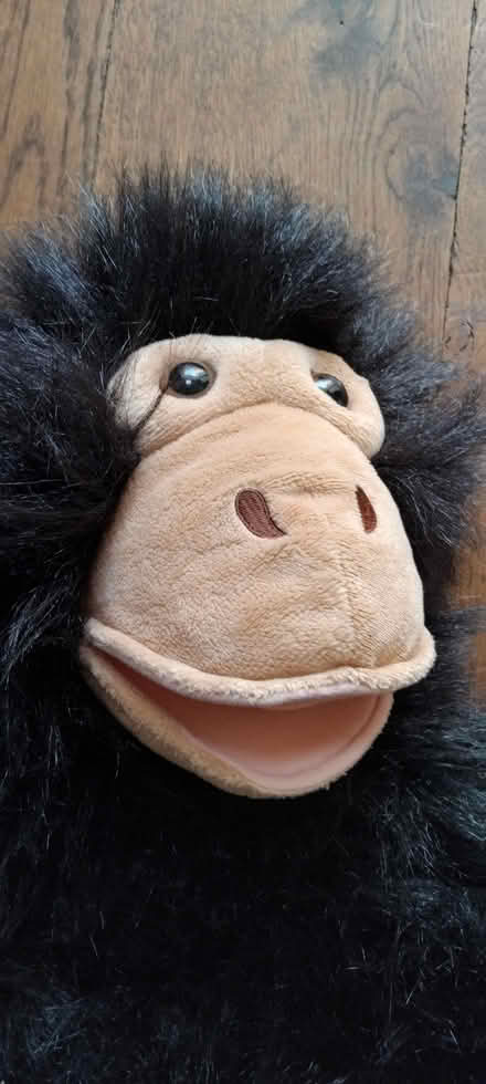 Photo of free Big chimp toy puppet (Finchley Church End N3) #1