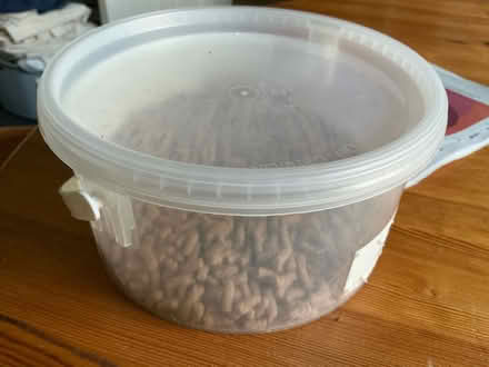 Photo of free Fish food (Purley CR8) #1