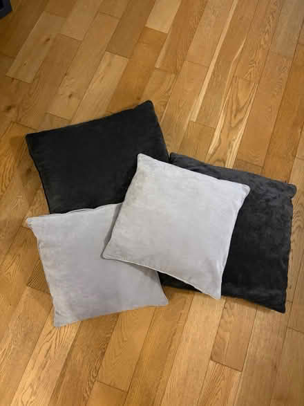 Photo of free 4 Velvet Cushions (Forest Hill - SE23) #1