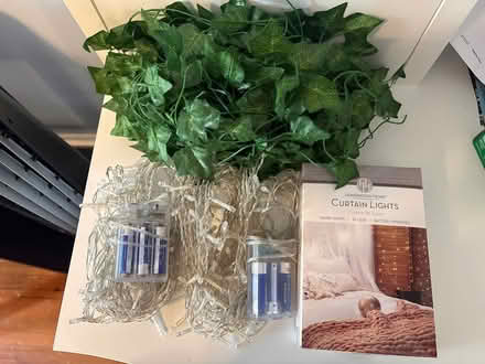 Photo of free 3 sets of curtain lights, faux ivy (Brighton near oak square) #1