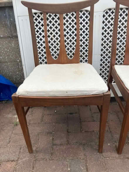 Photo of free Set of Dining Chairs (New Marston OX3) #1