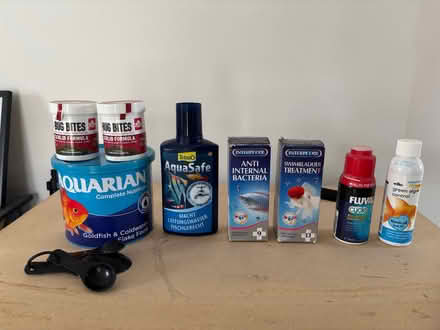 Photo of free 65 litre Fishtank (Great Baddow CM2) #3