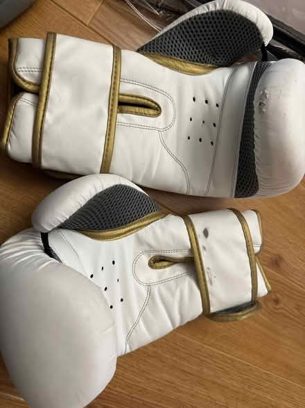 Photo of free Boxing gloves (IG3 ilford) #2