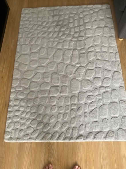 Photo of free Two rugs and various other items (East Mains G74) #2