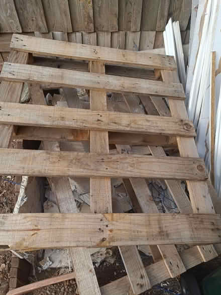 Photo of free Pallets (Cv6 4px) #2