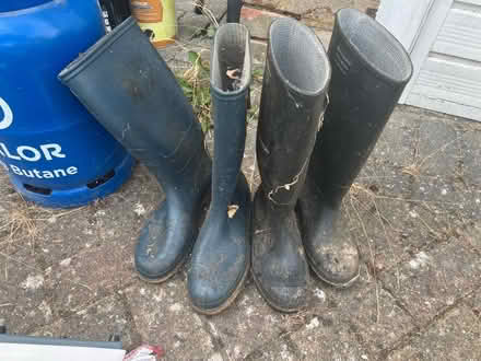 Photo of free Dunlop Wellie boots (Tunbridge wells TN4) #1