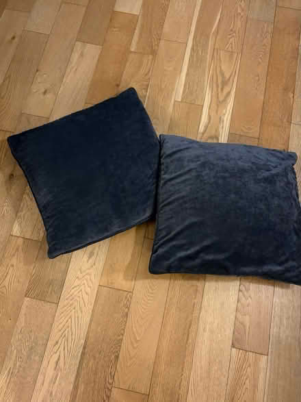 Photo of free 4 Velvet Cushions (Forest Hill - SE23) #2