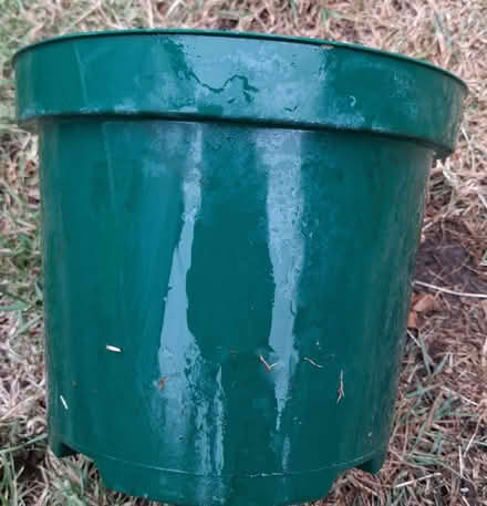 Photo of free Plastic plant pots (South Wootton PE30) #2