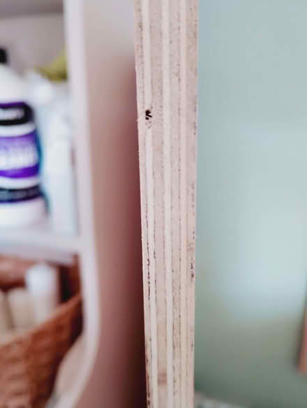 Photo of free Plywood (Orton Longueville PE2) #2