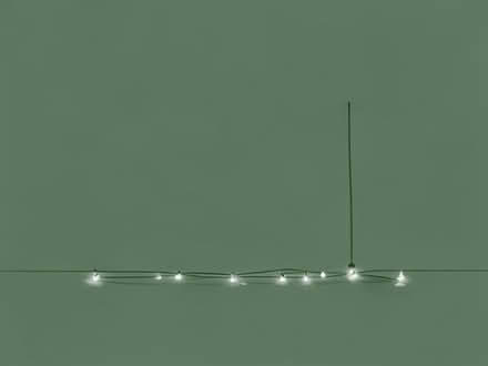 Photo of free String of flower lights and plug (Winkwell HP1) #1