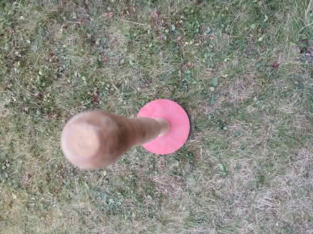 Photo of free Sink Plunger (Bridge of Don AB22) #3