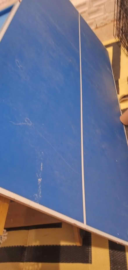 Photo of free Pool/tennis table (Denton BN9) #4