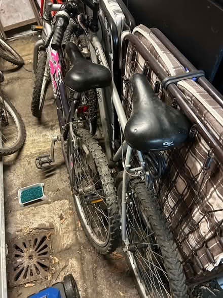 Photo of free Bikes, L17 (Aigburth L17) #3