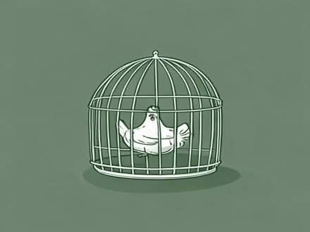 Photo of Chicken cage (Birchfield B20) #1