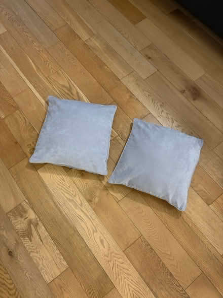 Photo of free 4 Velvet Cushions (Forest Hill - SE23) #3