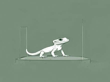 Photo of Gecko enclosure (Brampton S63) #1