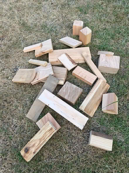 Photo of free Collection of small natural wood offcuts (Peachcroft OX14) #1