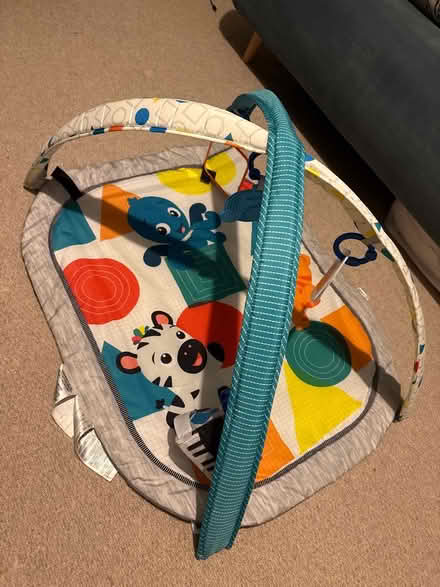 Photo of free Baby Einstein play mat (Walthamstow E17) #1