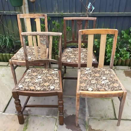 Photo of free Dining chairs (Anchorsholme FY5) #2