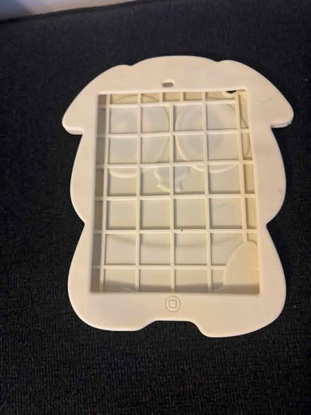 Photo of free Mini IPad Case (Jamaica Queens) #2