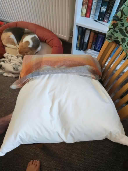 Photo of free 2 cushions and covers (Carterton OX18) #2