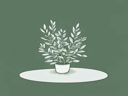 Photo of Garden bush plants (Stone Cross BN24) #1
