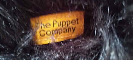 Photo of free Big chimp toy puppet (Finchley Church End N3) #4