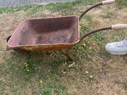 Photo of free Wheelbarrow planter (Tunbridge wells TN4) #1