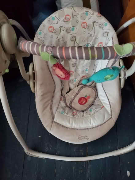 Photo of free Baby swing (Splott CF24) #1