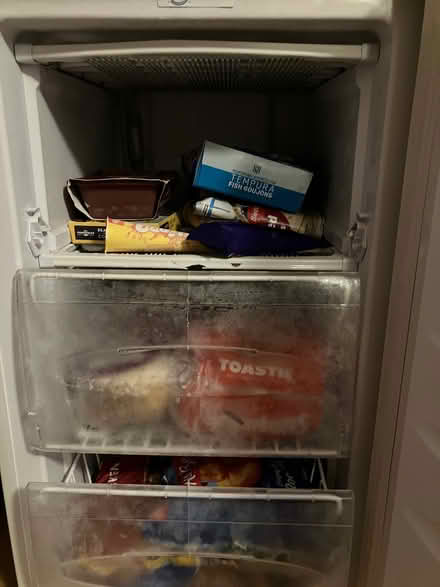 Photo of free Freezer (Ashburton CR0) #4