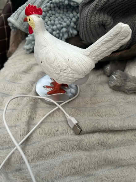 Photo of free USB chicken light (Bridlington YO16) #2