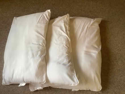 Photo of free 3 SILENTNIGHT pillows - Clean (Grange Estate, Letchworth SG6) #2