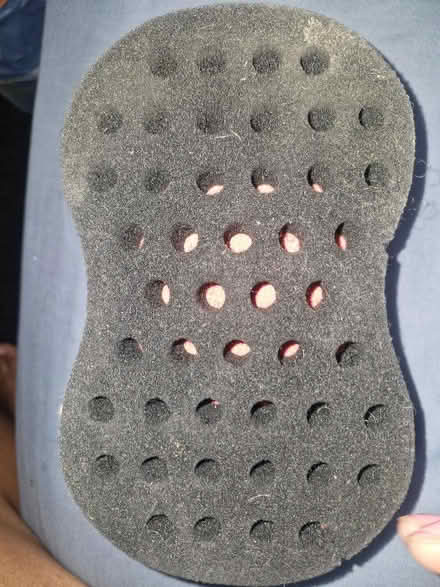 Photo of free hair sponge (Grove Park SE9) #2