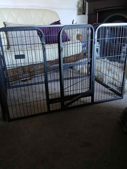 Photo of free metal puppy pen (wakefield WF4) #3