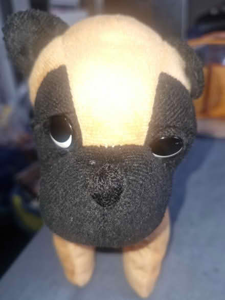 Photo of free Soft Toy (Grove Park SE9) #1