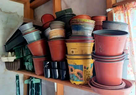 Photo of free Garden strimmer & plastic plant pots (Dover CT14) #2