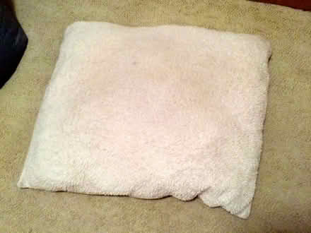 Photo of free Large Dog Beds (Near El Camino & Walnut) #2
