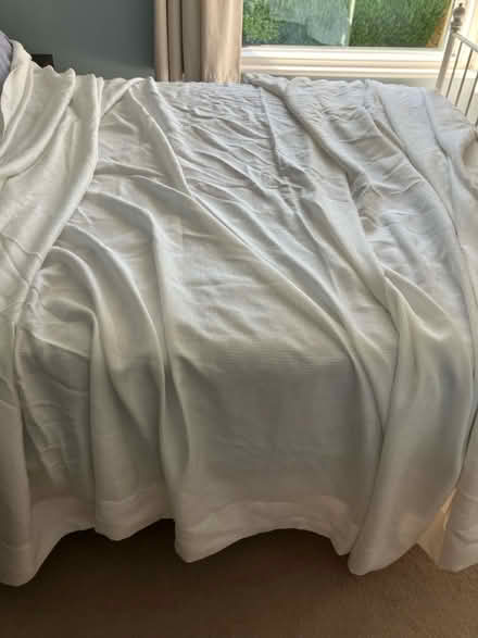 Photo of free Single curtain very large (Silverdale Road TN4) #1