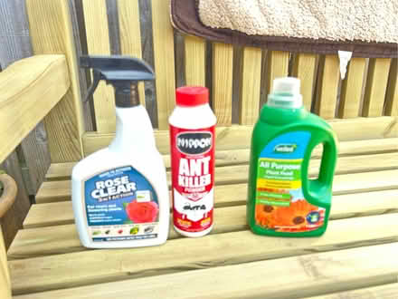Photo of free Gardening things ! (Plumpton CA11) #1
