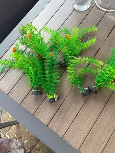 Photo of free Fish tank artificial weed (Burgess hill RH15) #3