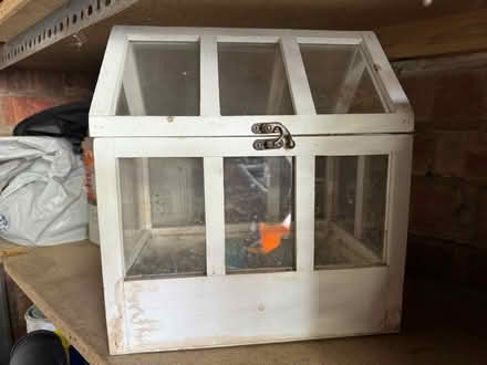 Photo of free Two mini plant greenhouses (South Tonbridge TN9) #1