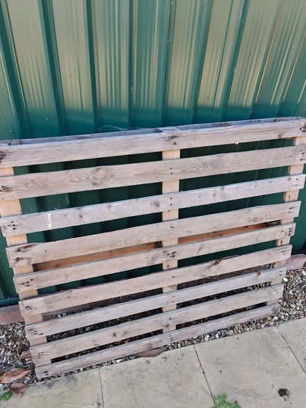 Photo of free pallets, different sizes (Leighton Buzzard LU7) #2
