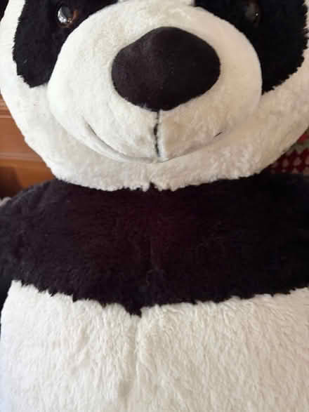 Photo of free Large Panda (Peachcroft OX14) #2