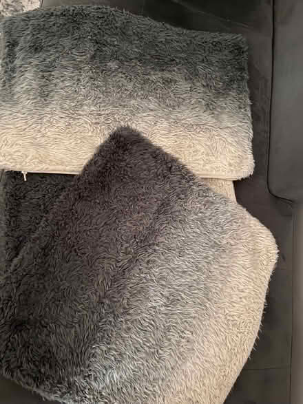 Photo of free Set of Cushion covers (Coleridge Ward CB1) #1