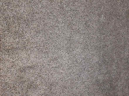 Photo of free LAST CALL: Carpet and Padding (94015) #3