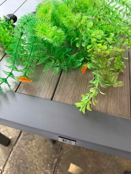 Photo of free Fish tank artificial weed (Burgess hill RH15) #1